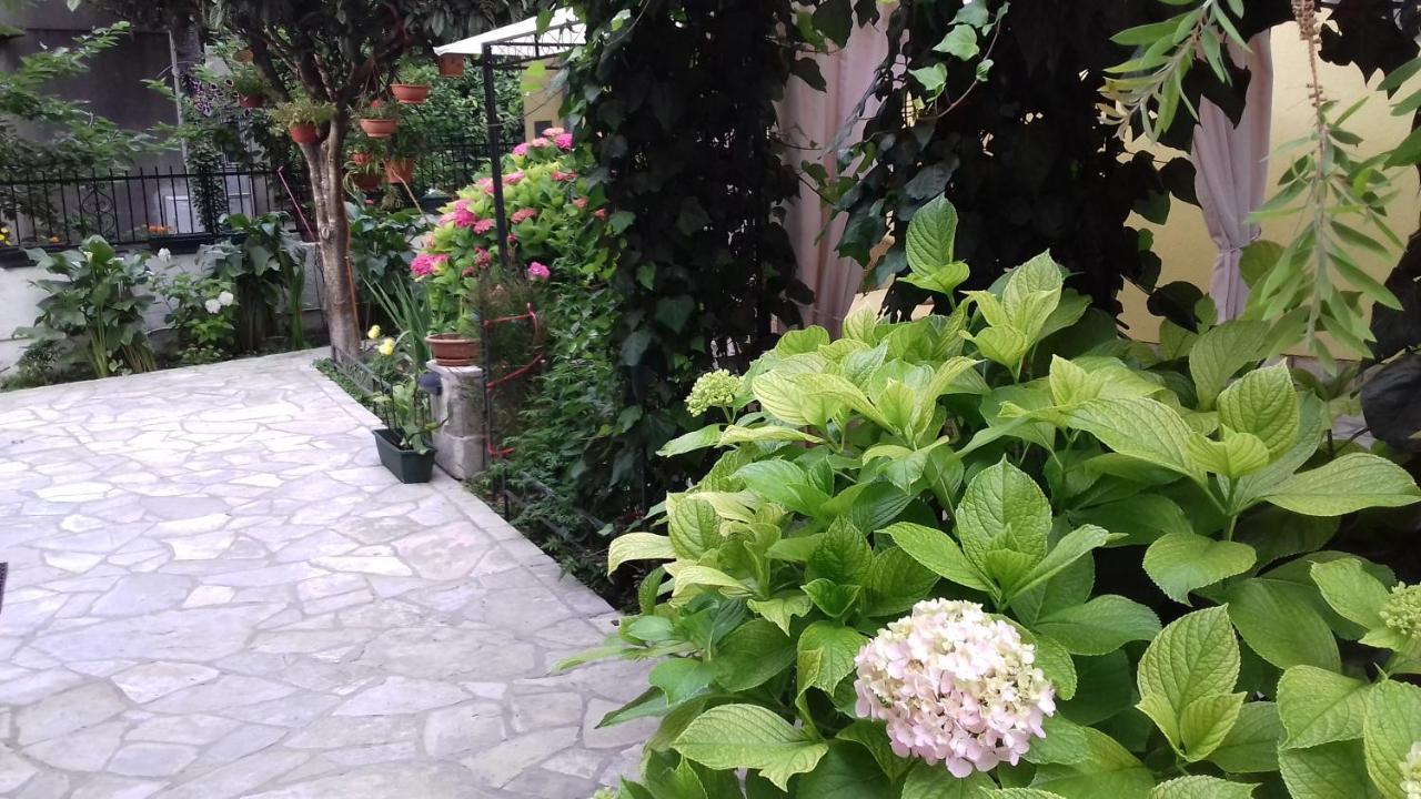 Apartments Matkovic كوتور المظهر الخارجي الصورة