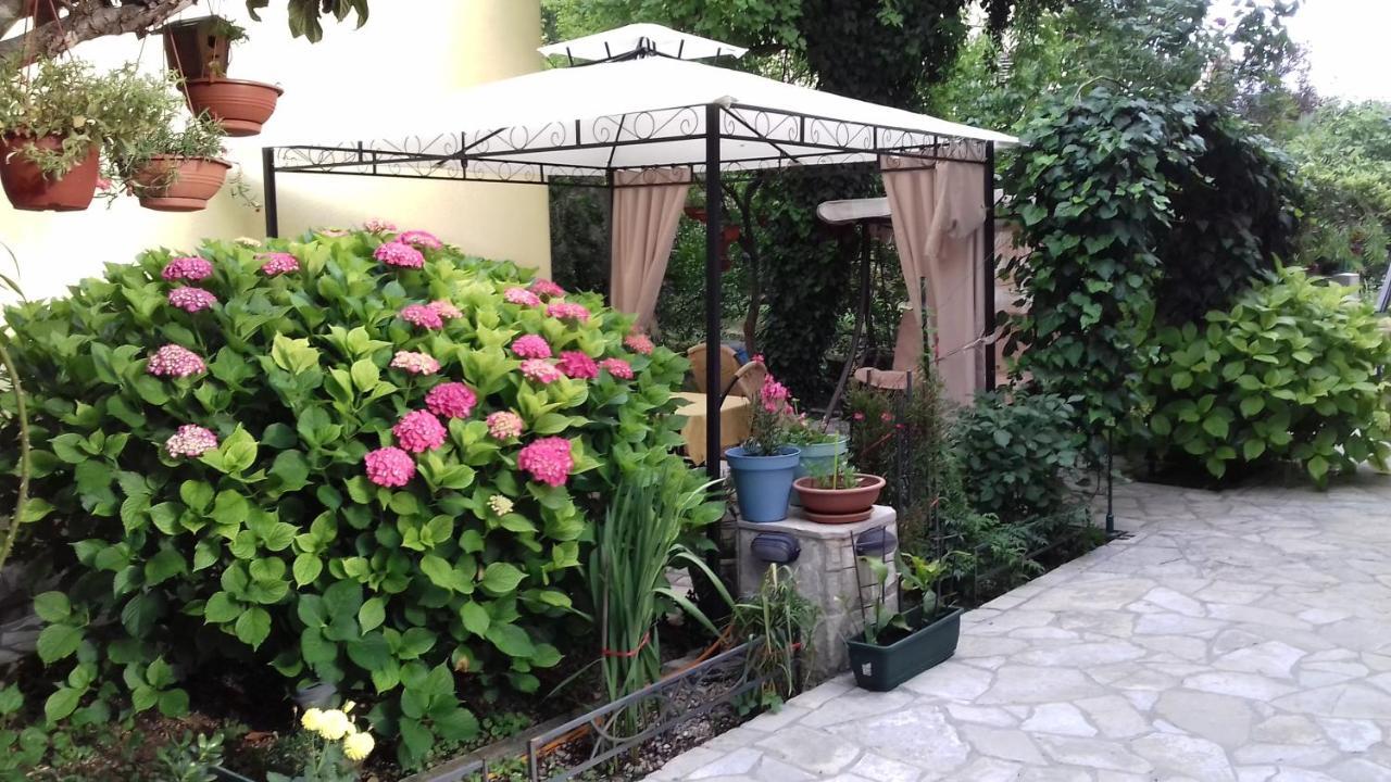 Apartments Matkovic كوتور المظهر الخارجي الصورة
