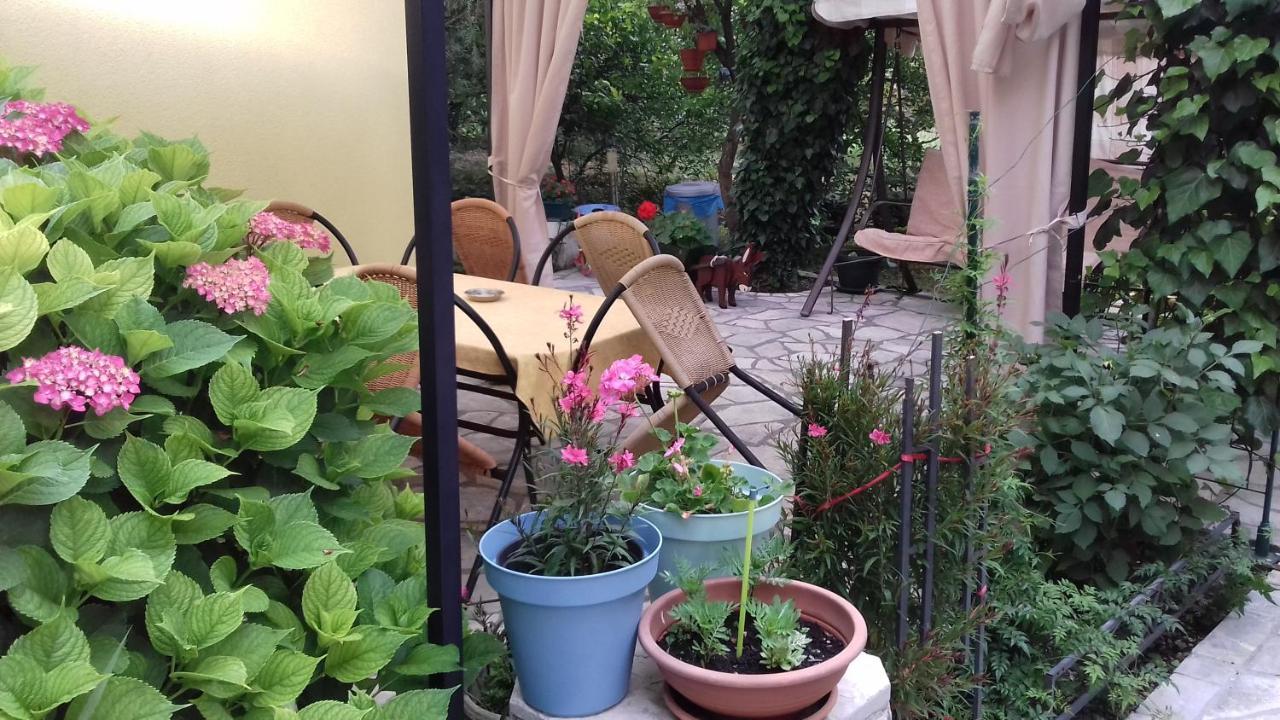 Apartments Matkovic كوتور المظهر الخارجي الصورة